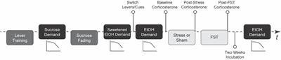 Individual corticosterone response to intermittent swim stress predicts a shift in economic demand for ethanol from pre-stress to post-stress in male rats